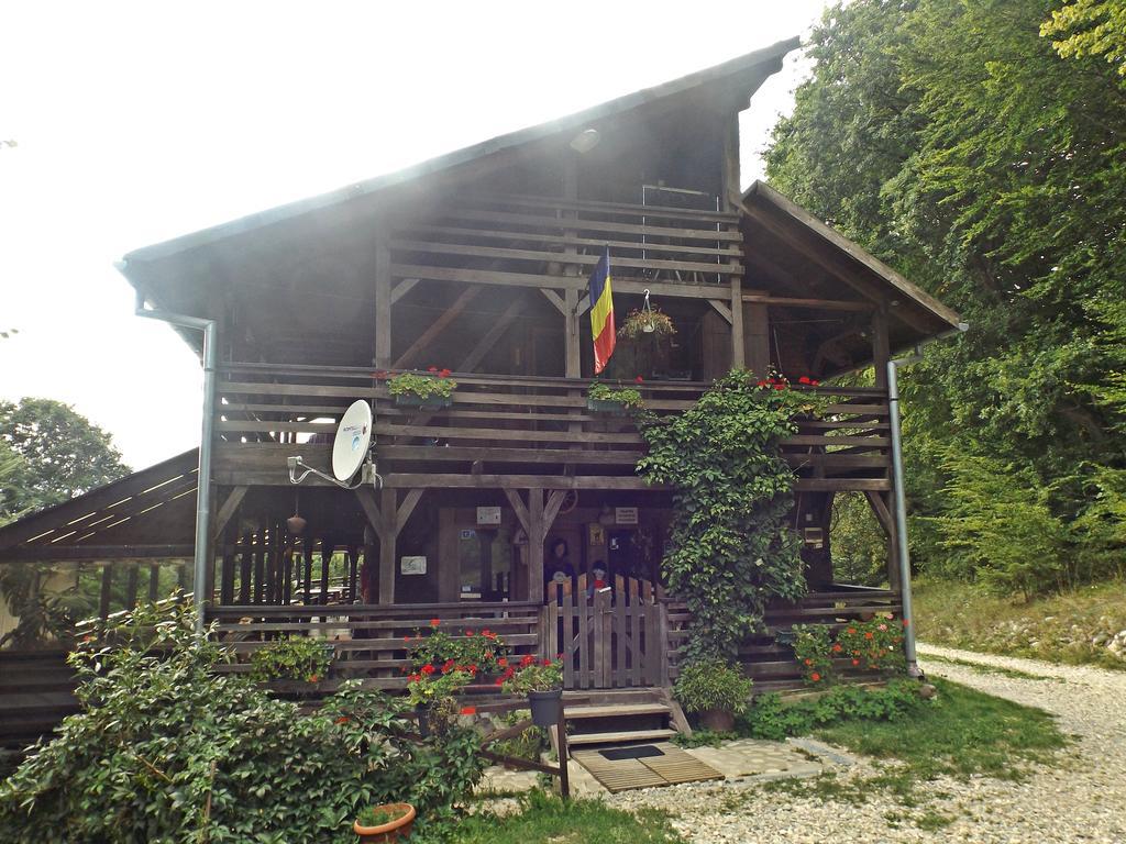 Cabana La Noi Hotel Râşnov Exterior photo