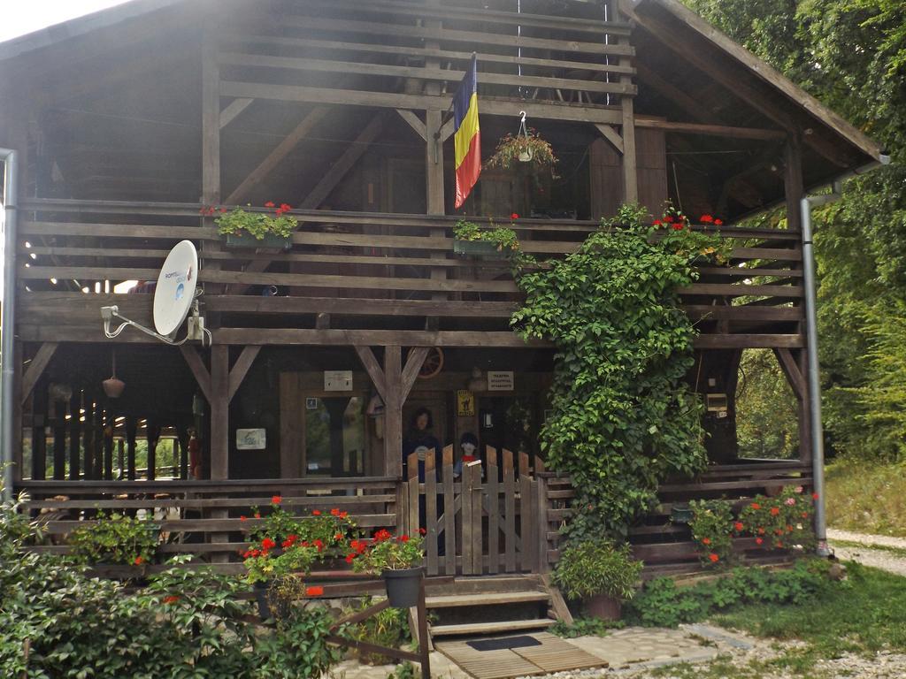 Cabana La Noi Hotel Râşnov Exterior photo