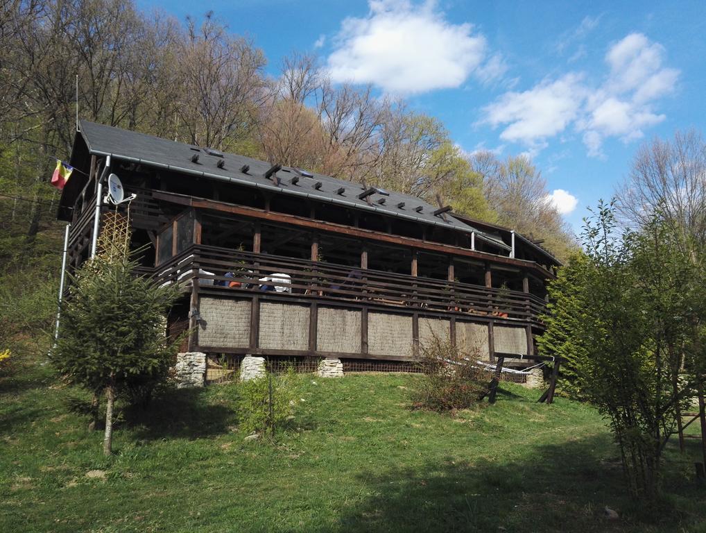 Cabana La Noi Hotel Râşnov Exterior photo