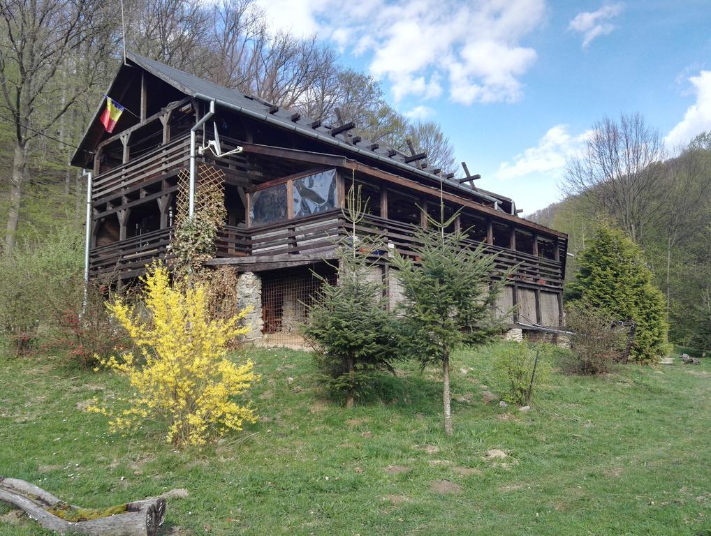 Cabana La Noi Hotel Râşnov Exterior photo